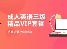 学英语成人直播教学视频,成人学习者的互动之旅