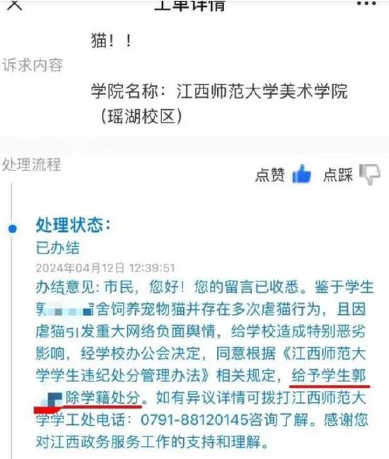 成人大学推广视频,视频揭秘学习与成长之旅