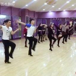 新洲成人舞蹈视频大全集,舞动人生，尽享欢乐时光