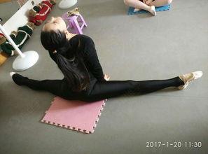 成人形体减肥课程视频,成人形体减肥课程视频精华解析