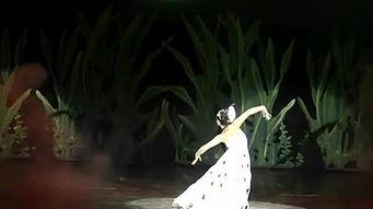 孔雀舞蹈视频成人个人,展现成人风采