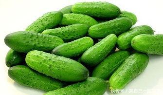 成人版黄瓜段视频,成人版视频中的激情与诱惑