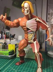 初步成人玩具视频,探索现代性玩具的多样性与文化内涵