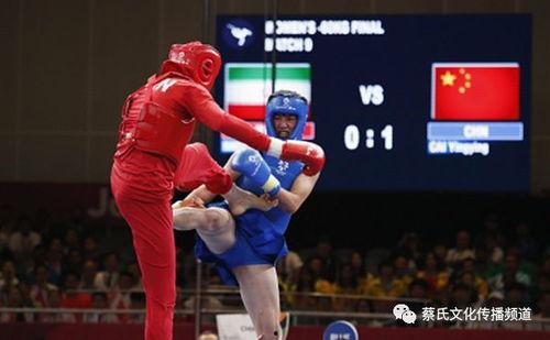 涞水散打成人比赛视频